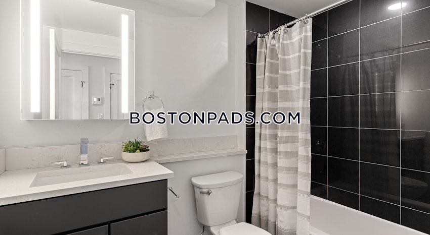 BOSTON - BRIGHTON - NORTH BRIGHTON - 2 Beds, 2 Baths - Image 51