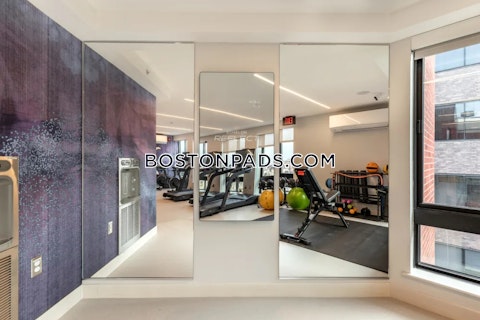 Exeter St. Boston photo 23