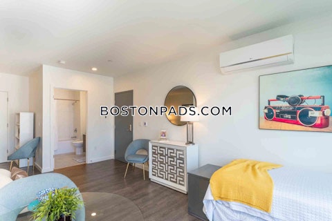 Washington St. Boston photo 29