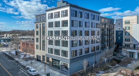 Western Ave. Boston photo 7