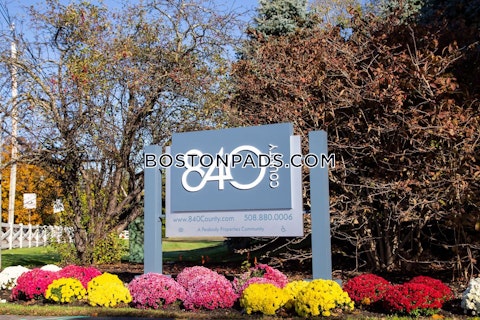 County St. Taunton photo 11