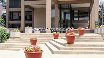 Massachusetts Ave. Cambridge