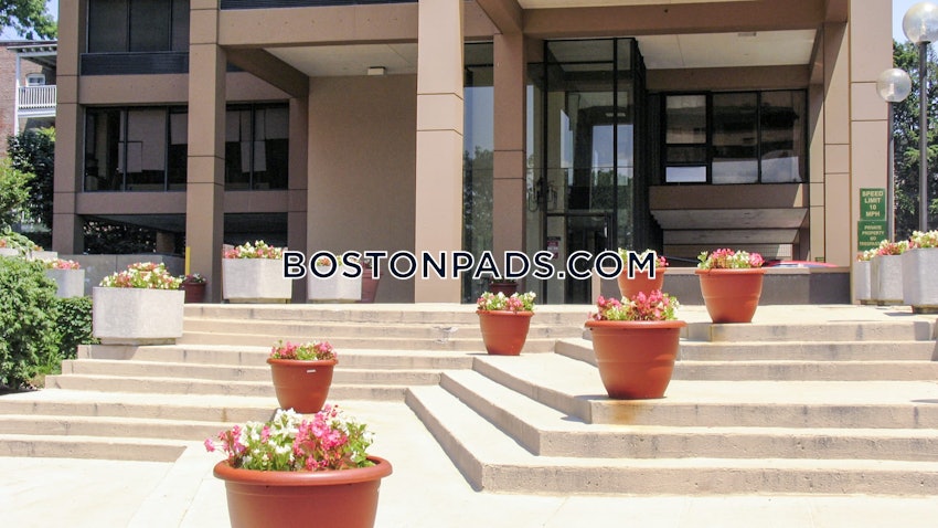 CAMBRIDGE - CENTRAL SQUARE/CAMBRIDGEPORT - Studio , 1 Bath - Image 13