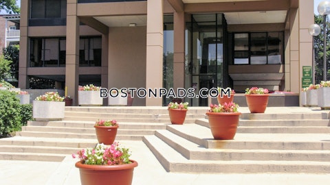 Massachusetts Ave. Cambridge photo 13