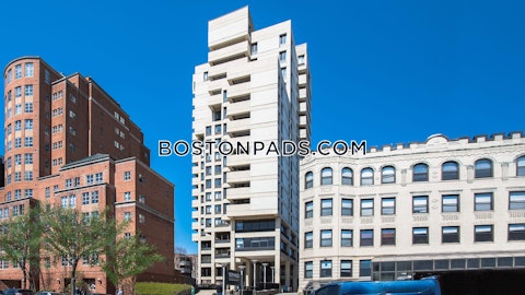 Massachusetts Ave. Cambridge photo 11