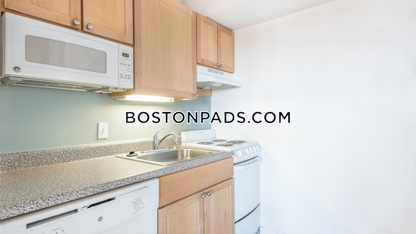 CAMBRIDGE - CENTRAL SQUARE/CAMBRIDGEPORT - Studio , 1 Bath - Image 19
