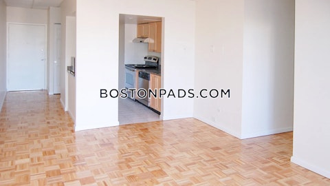 Massachusetts Ave. Cambridge photo 28