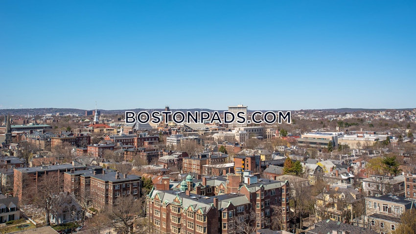 CAMBRIDGE - CENTRAL SQUARE/CAMBRIDGEPORT - Studio , 1 Bath - Image 20