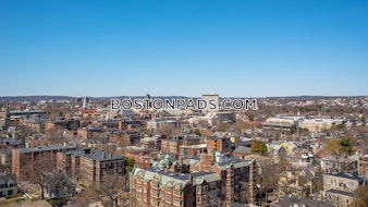 Massachusetts Ave. Cambridge