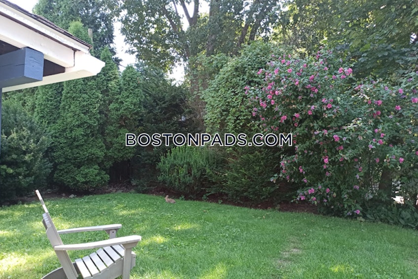 Newton - $5,500+ /month