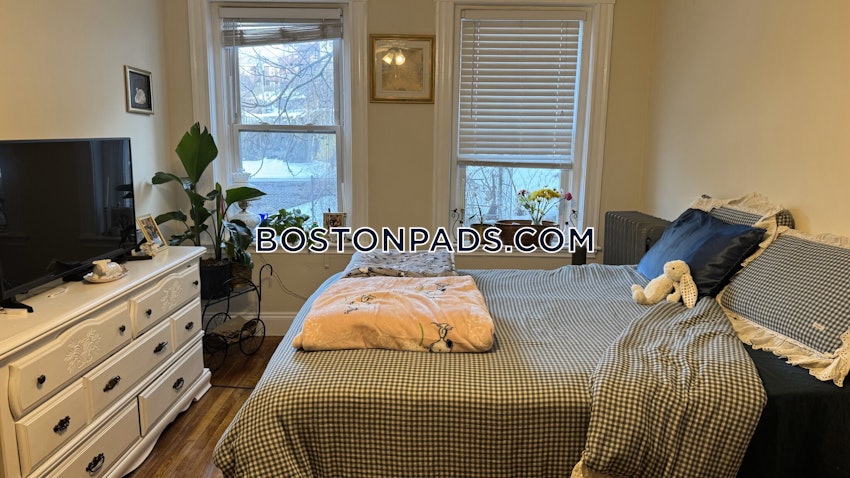 BOSTON - ALLSTON - 1 Bed, 1 Bath - Image 2