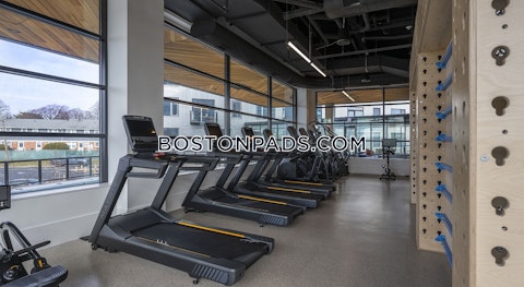 Addison St. Boston photo 32