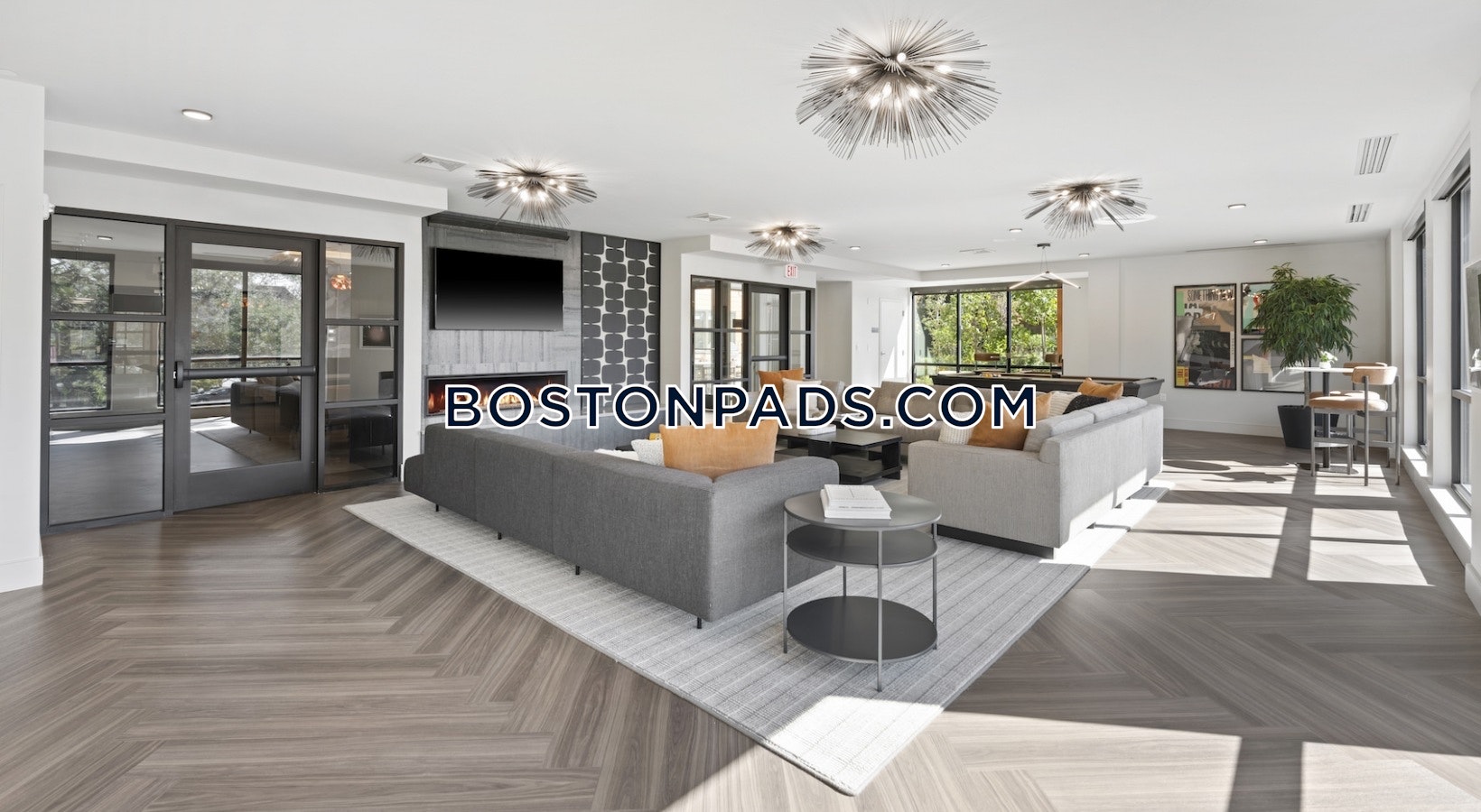 Somerville - 1 Beds, 1 Baths