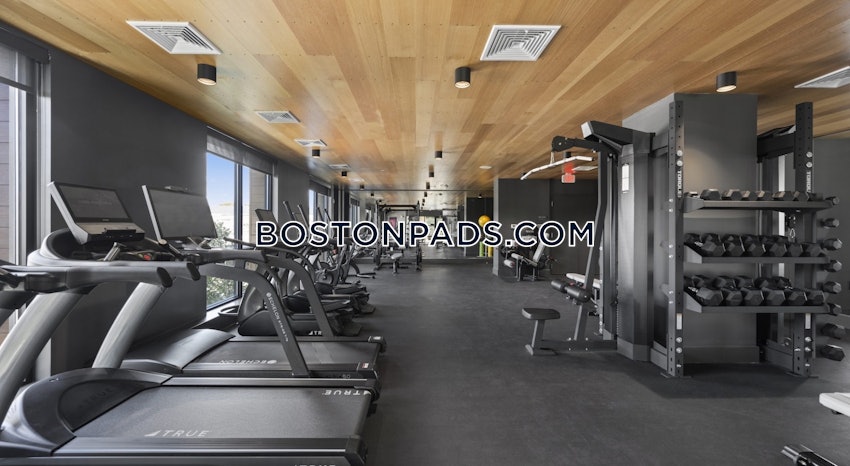 SOMERVILLE - EAST SOMERVILLE - 1 Bed, 1 Bath - Image 16