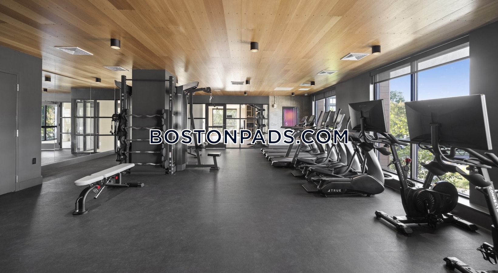 Somerville - 1 Beds, 1 Baths