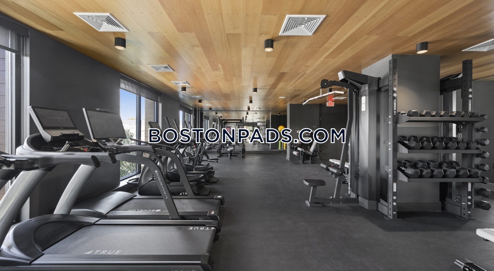 Somerville - 1 Beds, 1 Baths