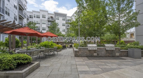 Fawcett St. Cambridge photo 17