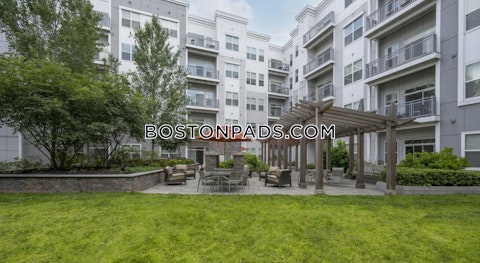 Fawcett St. Cambridge photo 15