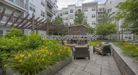 Fawcett St. Cambridge photo 25