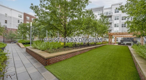 Fawcett St. Cambridge photo 20