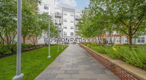 Fawcett St. Cambridge photo 12