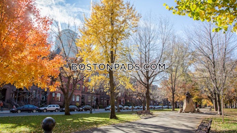 Exeter St. Boston photo 12