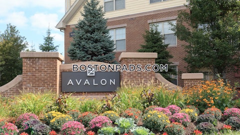 Boylston St. Newton photo 33