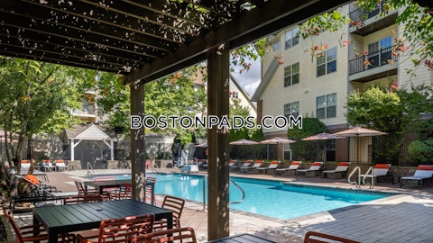 Boylston St. Newton photo 22