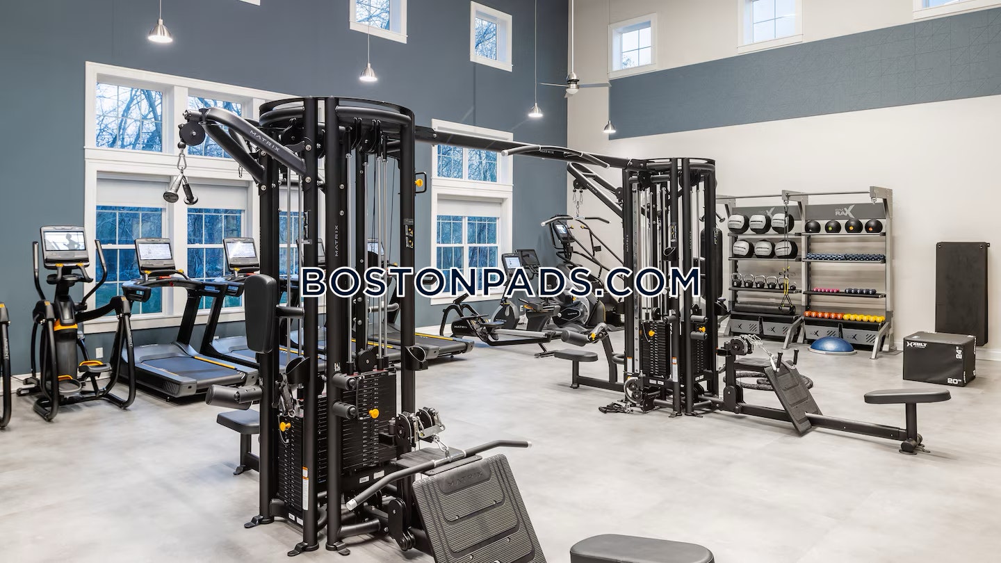 Lexington - 1 Beds, 1 Baths