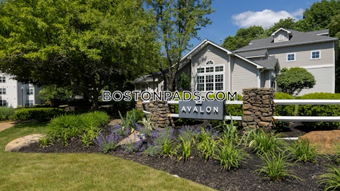 Lexington Ridge Dr. Lexington photo 24