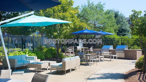 Main Campus Dr. Lexington photo 26