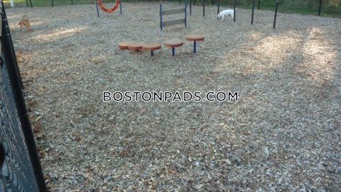 Main Campus Dr. Lexington photo 28