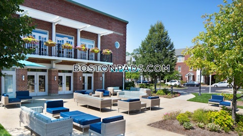 Main Campus Dr. Lexington photo 10