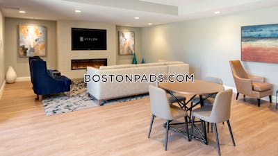 Lexington Apartment for rent 3 Bedrooms 1 Bath - $3,932 No Fee