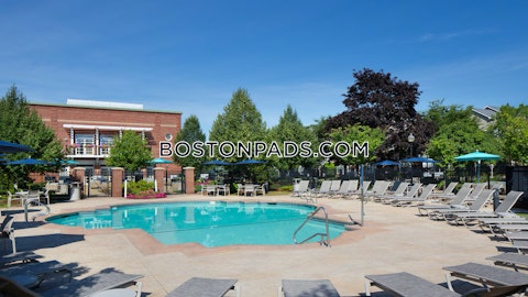 Main Campus Dr. Lexington photo 9