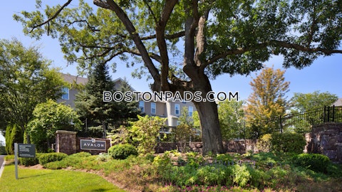 Main Campus Dr. Lexington photo 17