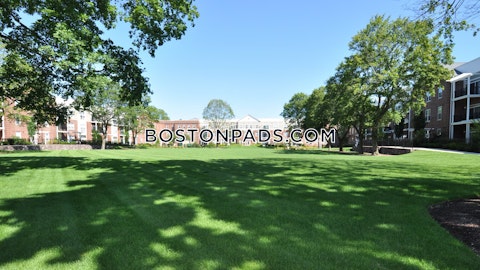 Main Campus Dr. Lexington photo 11