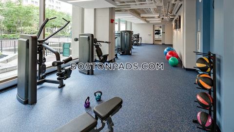 Boylston St. Boston photo 22