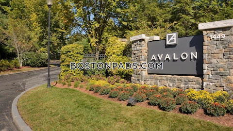 Main St. Waltham photo 31