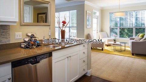 Main St. Waltham photo 8