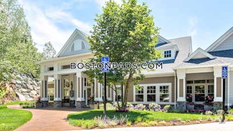 Main St. Waltham photo 26