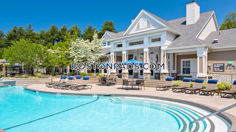 Main St. Waltham photo 26