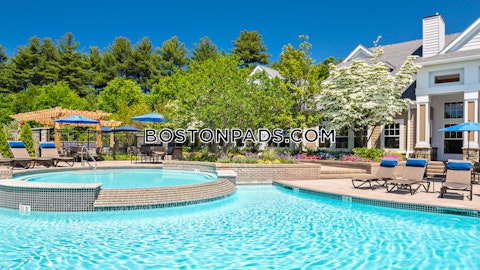 Main St. Waltham photo 24