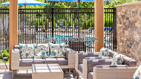 Main St. Waltham photo 10