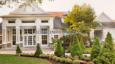 Main St. Waltham photo 20