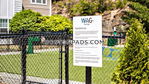 Main St. Waltham photo 18