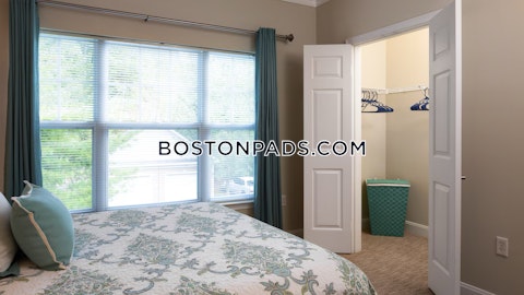 Main St. Waltham photo 8