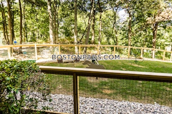 Mediterranean Dr. Weymouth