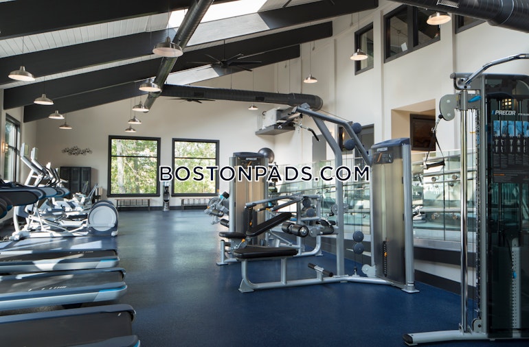 Mediterranean Dr. Weymouth