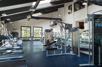 Mediterranean Dr. Weymouth